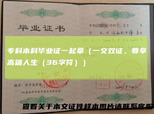 专科本科毕业证一起拿（一文双证，尊享高端人生（36字符））