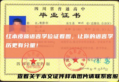 红本皮质语言学位证看图，让你的语言学历更有分量！