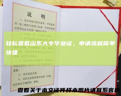 轻松查看山东大专毕业证，申请流程简单快捷
