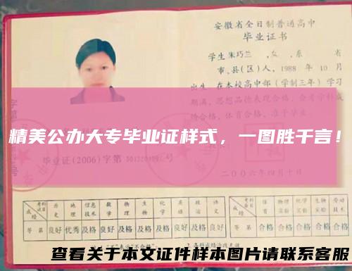 精美公办大专毕业证样式，一图胜千言！