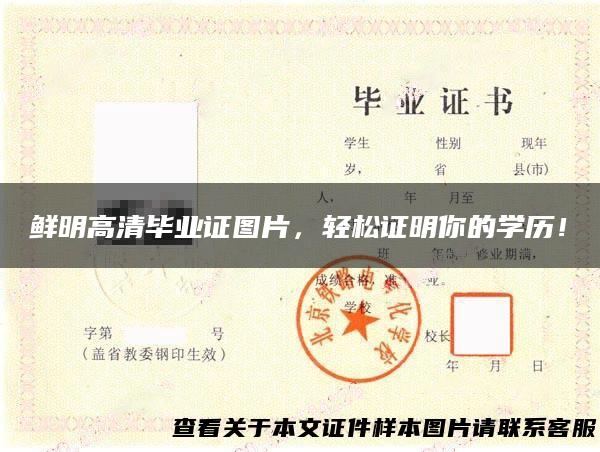 鲜明高清毕业证图片，轻松证明你的学历！