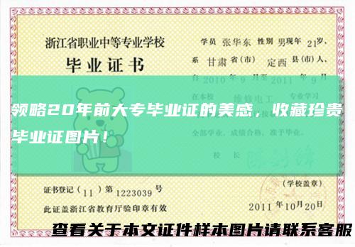 领略20年前大专毕业证的美感，收藏珍贵毕业证图片！
