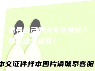 急寻自己的大专毕业证？快来这里查找！
