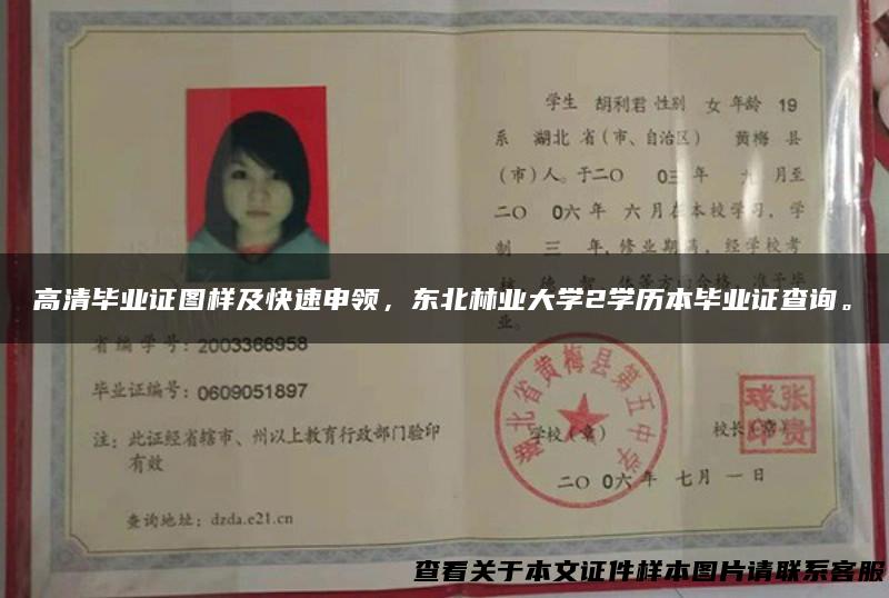 高清毕业证图样及快速申领，东北林业大学2学历本毕业证查询。