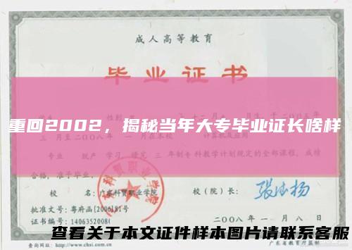 重回2002，揭秘当年大专毕业证长啥样