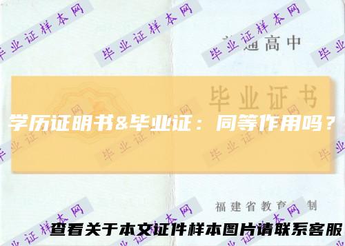 学历证明书&#038;毕业证：同等作用吗？