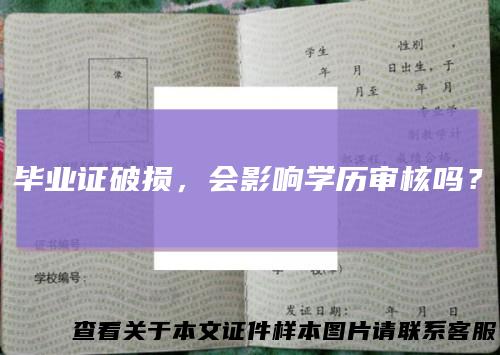 毕业证破损，会影响学历审核吗？