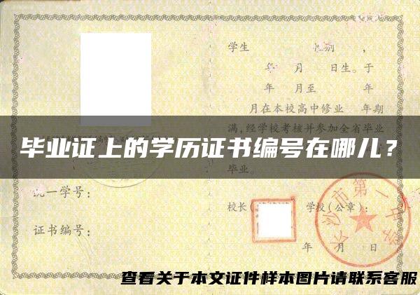 毕业证上的学历证书编号在哪儿？