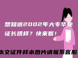 想知道2002年大专毕业证长啥样？快来看！