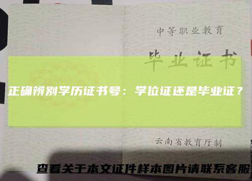 正确辨别学历证书号：学位证还是毕业证？