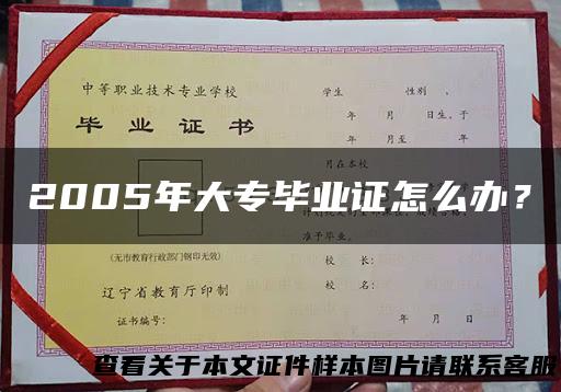 2005年大专毕业证怎么办？