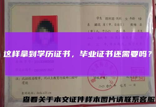 这样拿到学历证书，毕业证书还需要吗？