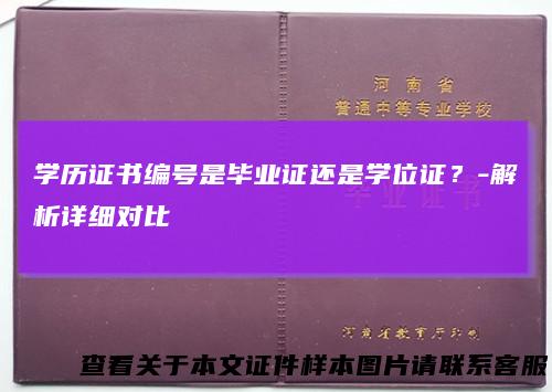 学历证书编号是毕业证还是学位证?-解析详细对比