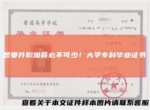 想要升职加薪必不可少！大学专科毕业证书