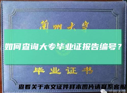 如何查询大专毕业证报告编号？