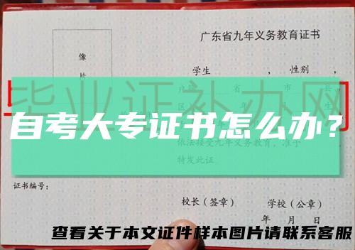 自考大专证书怎么办？