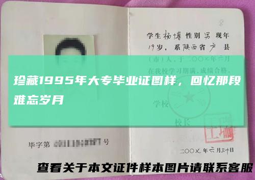 珍藏1995年大专毕业证图样，回忆那段难忘岁月
