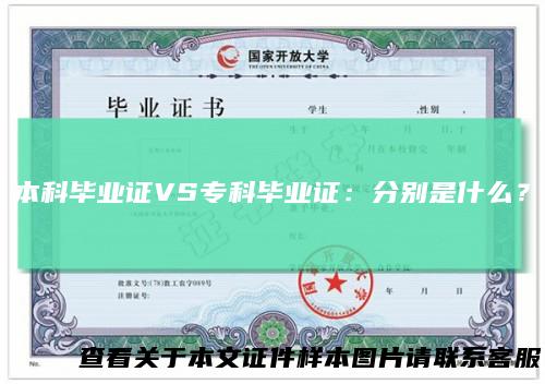 本科毕业证VS专科毕业证：分别是什么？