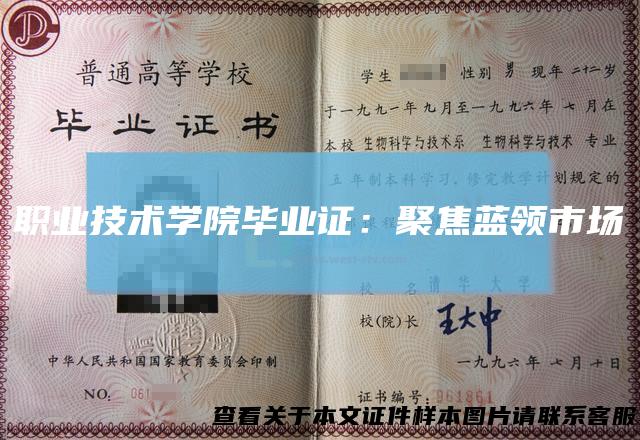 职业技术学院毕业证：聚焦蓝领市场