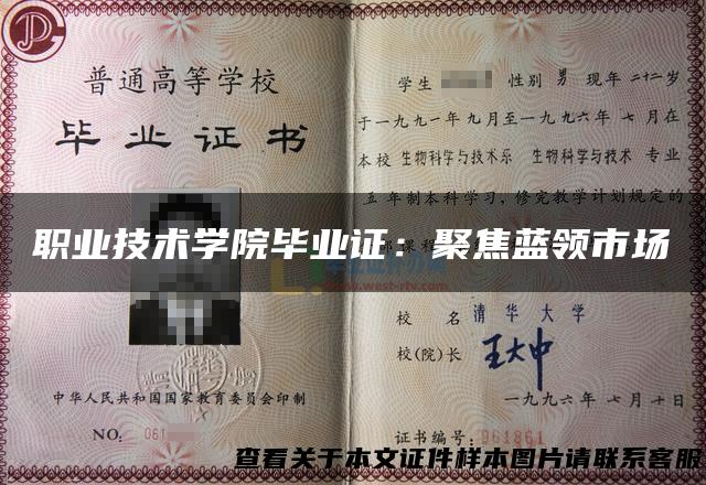 职业技术学院毕业证：聚焦蓝领市场