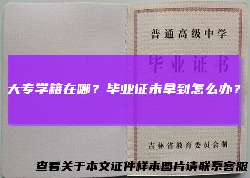 大专学籍在哪？毕业证未拿到怎么办？