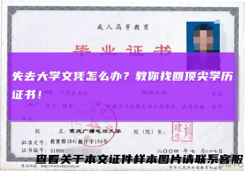 失去大学文凭怎么办？教你找回顶尖学历证书！