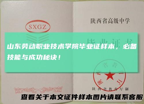 山东劳动职业技术学院毕业证样本，必备技能与成功秘诀！