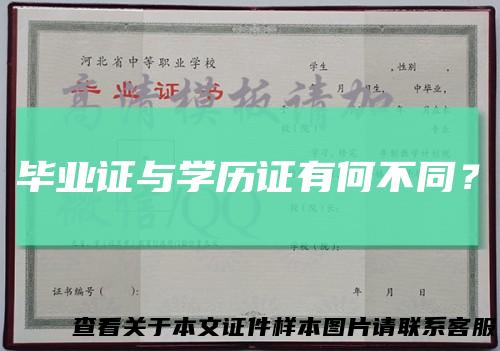 毕业证与学历证有何不同？