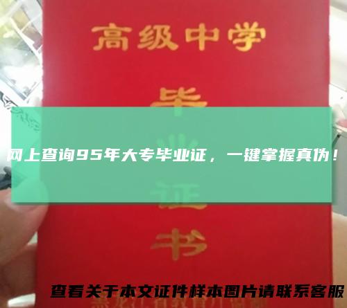 网上查询95年大专毕业证，一键掌握真伪！