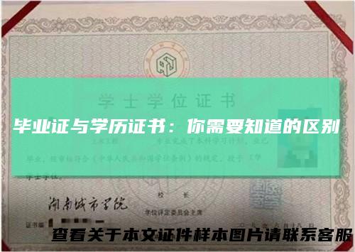 毕业证与学历证书：你需要知道的区别