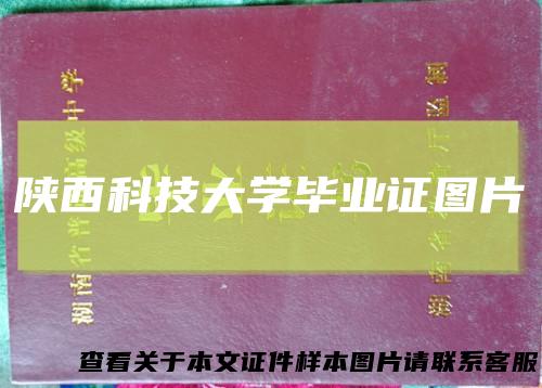 陕西科技大学毕业证图片
