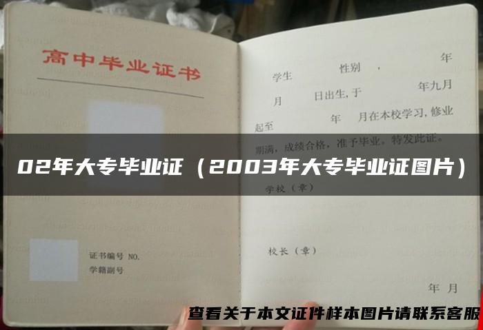 02年大专毕业证（2003年大专毕业证图片）