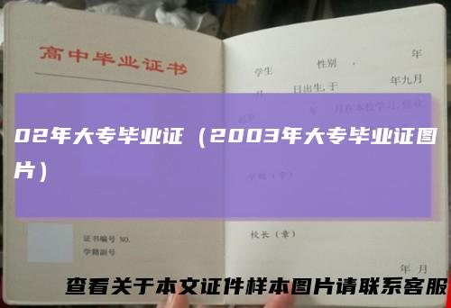 02年大专毕业证(2003年大专毕业证图片)