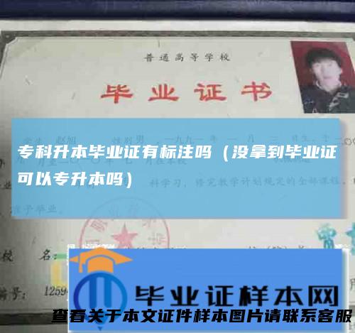 专科升本毕业证有标注吗（没拿到毕业证可以专升本吗）