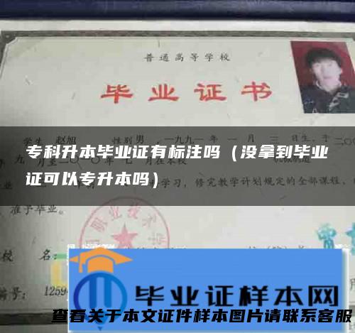 专科升本毕业证有标注吗（没拿到毕业证可以专升本吗）