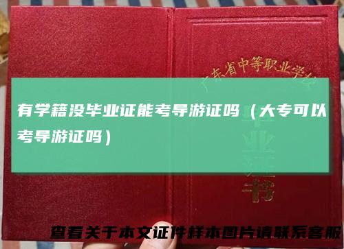 有学籍没毕业证能考导游证吗（大专可以考导游证吗）