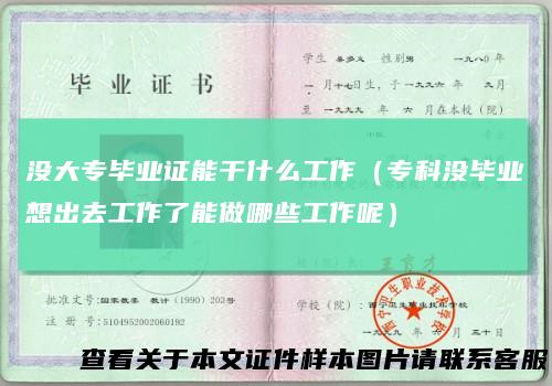 没大专毕业证能干什么工作（专科没毕业想出去工作了能做哪些工作呢）
