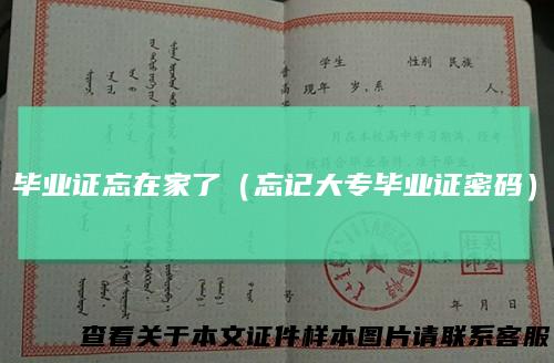 毕业证忘在家了（忘记大专毕业证密码）