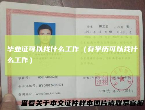 毕业证可以找什么工作(有学历可以找什么工作)