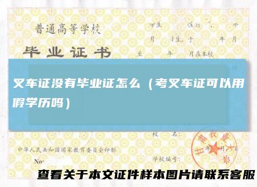叉车证没有毕业证怎么（考叉车证可以用假学历吗）