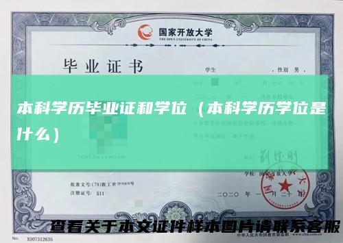 本科学历毕业证和学位（本科学历学位是什么）