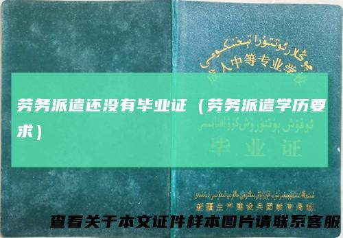 劳务派遣还没有毕业证（劳务派遣学历要求）