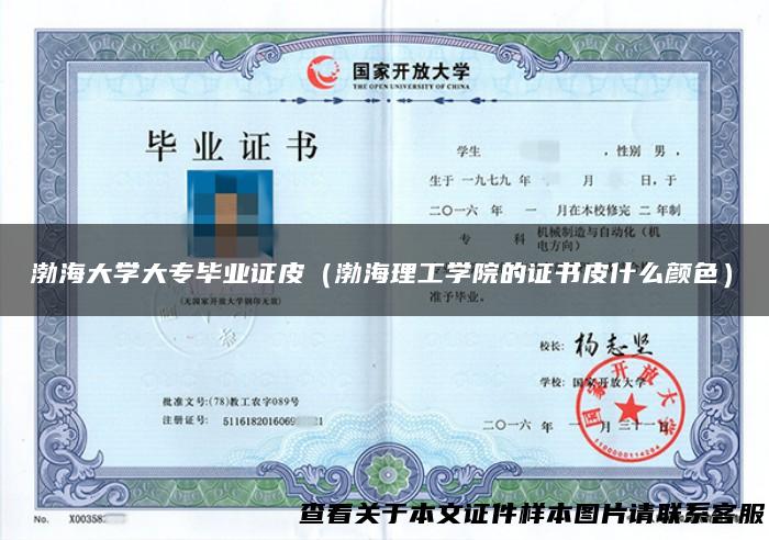 渤海大学大专毕业证皮（渤海理工学院的证书皮什么颜色）