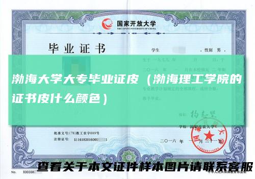 渤海大学大专毕业证皮(渤海理工学院的证书皮什么颜色)