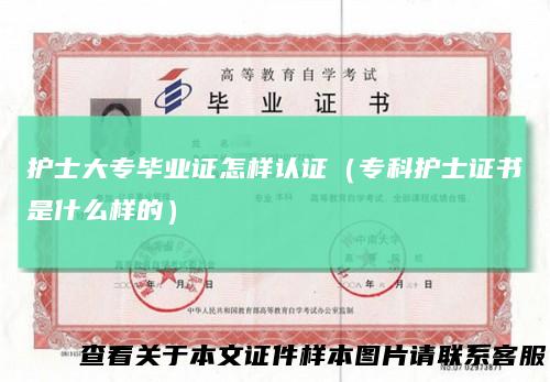 护士大专毕业证怎样认证（专科护士证书是什么样的）