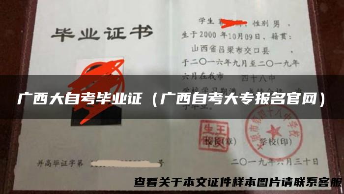 广西大自考毕业证（广西自考大专报名官网）