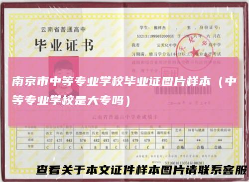 南京市中等专业学校毕业证图片样本（中等专业学校是大专吗）