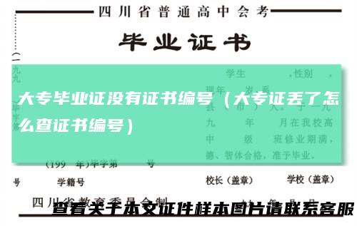 大专毕业证没有证书编号（大专证丢了怎么查证书编号）
