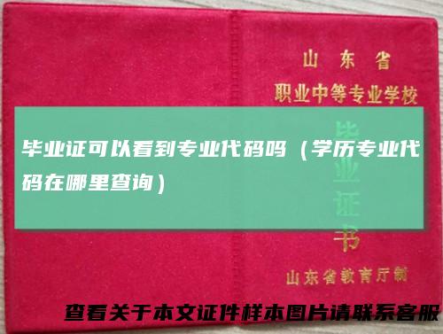毕业证可以看到专业代码吗（学历专业代码在哪里查询）