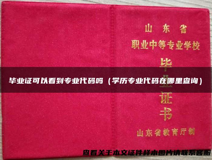 毕业证可以看到专业代码吗（学历专业代码在哪里查询）